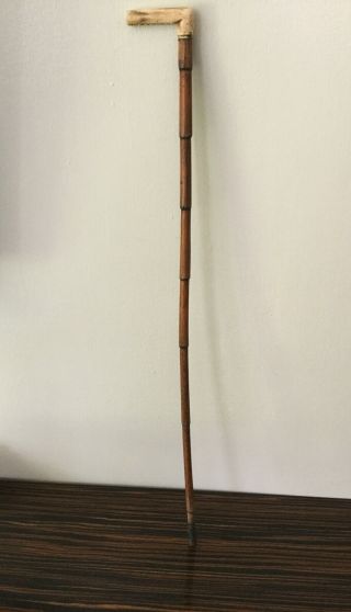 Victorian Antique Walking Cane With A Bone Handle