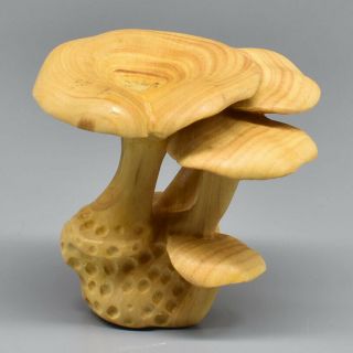 Hand Carved Japanese Boxwood Netsuke Wood Carving Figurine Lingzhi Mushroom