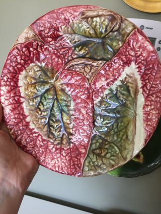 Antique Majolica Pottery Begonia Leaf Plate Rosy Pink Red & Green Rare 8.  25”