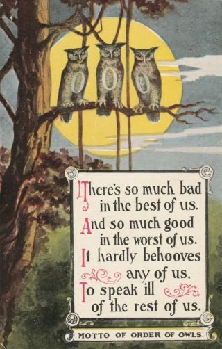 Rare Order Of Owls 1910 Antique Postcard / P6