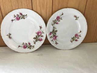 Fine China Of Japan Rare Royal Rose Luncheon Plate 9 " Gold Rimmed Set Of 2