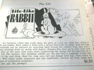 Rare Abbott Magic Realistic Lifelike Spring Rabbit
