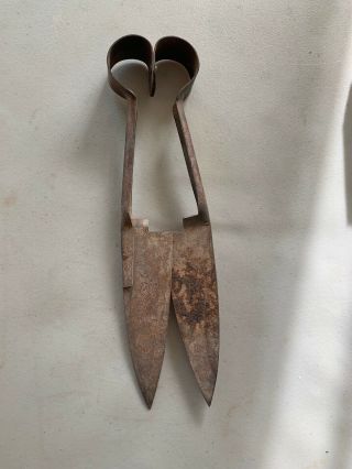 Antique Vintage Farm Primitive Tool Old Sheep Shears For Hand Shearing.