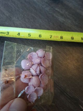 Sailor Valentine Liquidation Sea Shells Tiny Rare Vintage Pink