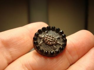 Antique Black Glass Silver Lustre Relief Turtle Button