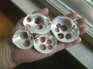 1860s Dug Group Of 4 Mississippi River Button Clam Shells For Making Buttons