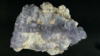 Rare Purple Fluorite Crystals Komshejeh Mine Iran Natural Mineral Specimen Rock
