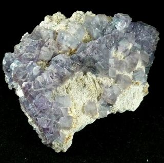 Rare Purple Fluorite Crystals Komshejeh Mine Iran Natural Mineral Specimen Rock 3