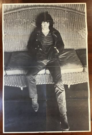 JIM MORRISON DOORS / BUFFALO SPRINGFIELD RARE Teenset Poster 1968 2