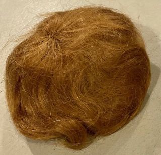 65 7 - 8 " Auburn Mohair Doll Wig For Antique Bisque Character Baby Doll Or Boy