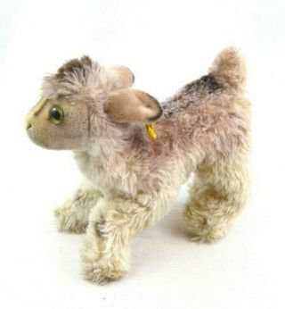 Rare Grey Steiff Zicky Goat Mohair Plush 8 " X 7 " With Tag Vintage
