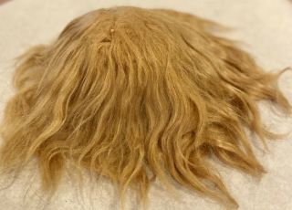 115 Antique 11 " Mohair Doll Wig For Antique Bisque Doll