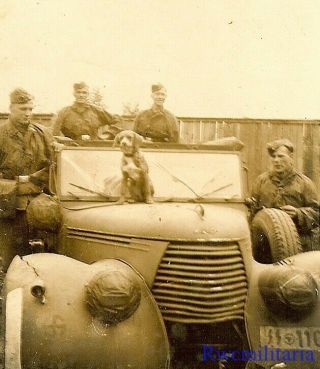 Rare German Elite Waffen Troops In Camo Battle Smocks W/ Dog & Staff Car