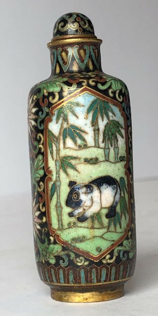 Antique Chinese Cloisonné On Brass 3” Snuff Bottle With Koala Bear Scene