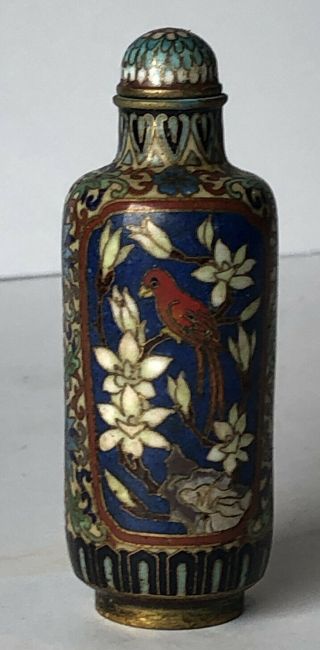 Antique Chinese Cloisonné On Brass 3” Snuff Bottle With Birds & Flowers