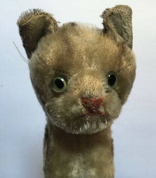 Steiff Tiger Cat Antique Vintage Jointed Glass Doll Schuco Mohair Bear Tabby Toy