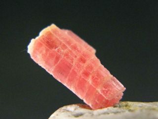 Extremely Rare Gem Vayrynenite Crystal From Pakistan - 1.  0cm - 0.  85 Carats
