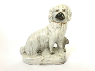 Antique Staffordshire Porcelain White W/ Black Nose Spaniel Dog 6.  5  Height