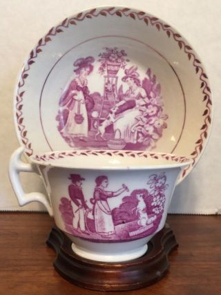 Antique Staffordshire Pink Luster Cup & Saucer - Dog Training Scenes