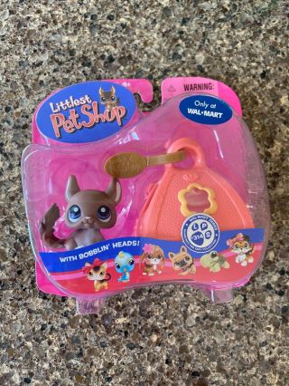 Rare Littlest Pet Shop Portable Pets 314 Chinchilla With Pink/orange Carrier