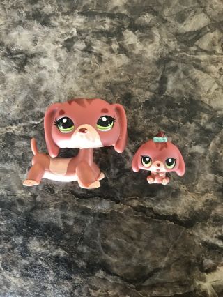 Littlest Pet Shop Lps Rare Mommy And Baby Set Dachshund Dog 3601 3602