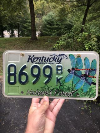 Kentucky License Plate “nature’s Finest Dragonflies” Rare Version 8699bk