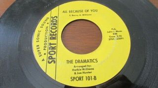 The Dramatics Rare Detroit Northern Soul 45 On Sport Lbl All Because Of You