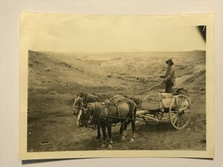 Rare Antique Western Cowboy On Wagon South Dakota Snapshot Photo