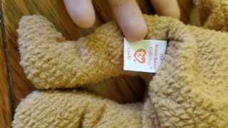 RARE Curly Ty Beanie Babies with ERRORS 3