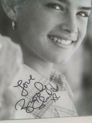 Brooke Shields Signed Vintage 8x10 Photo Rare Model Pose As A Young Teen 2