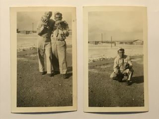 Rare Antique Hawaii Ww2 Soldiers Playing With Coconuts Set Of 2 Snapshot Photos