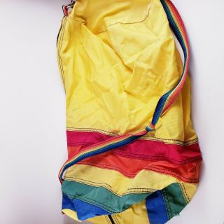 Rare Vintage Hobie Mirage Bag Rainbow