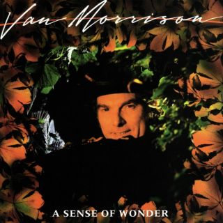 Van Morrison - A Sense Of Wonder (cd - 1985 Polydor) Rare Oop