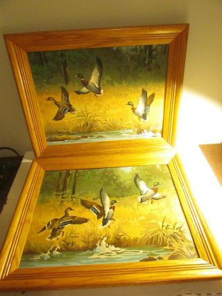 Vintage Paint By Number Framed Art Waterfowl Ducks 15 X 19