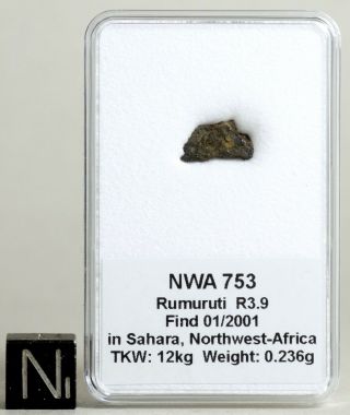 Meteorite Nwa 753 - Rare R3.  9 Rumuruti Chondrite - Sample In Display Box