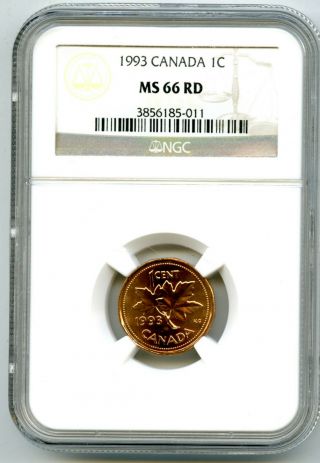 1993 Canada One Cent Ngc Ms66 Rd Copper Penny Uncirculated Extremely Rare