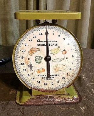 Vintage Metal American Family Scale 25 Lb Kitchen Counter Top Green Patina