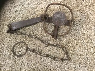 Old Antique Collectable Taylor Special 1 Longspring Trap Not Newhouse Sargent