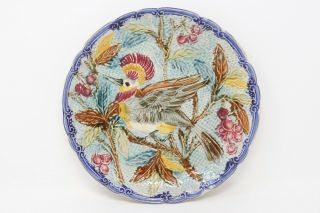 Rare 10 " Antique French Majolica Plate Platter With Crested Bird And Cherry Tree