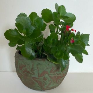Rare Signed Frank Ferrell Peters & Reed Roseville Moss Aztec Grape Ivy Planter