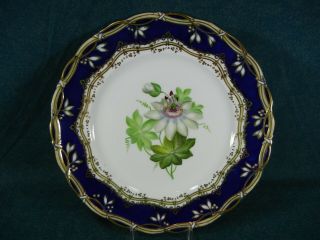 Early English Hand Painted Cabinet Plate Cobalt Blue Rim Gold Braided Edge 5/814