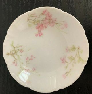 Antique Haviland & Co Limoges Butter Plate Apple Blossom