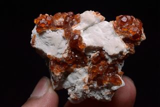 59g Natural Fanta Spessartine Garnets Crystal Cluster Rare Mineral Specimen