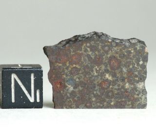 Meteorite Nwa 6358 - Rare Cv3 Carbonaceous Chondrite - Slice