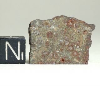 Meteorite NWA 6358 - rare CV3 carbonaceous chondrite - Slice 2