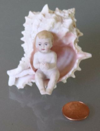 Antique Sailor Valentine Seashell Folk Art,  Bisque Baby In Shell