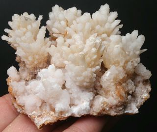 165g Rare Natural Yellow Clear Calcite Crystal Cluster Mineral Specimen