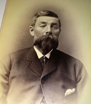 Antique Civil War Era Gentleman W/ Lazy Sleepy Eyes & Beard Victorian Cdv Photo