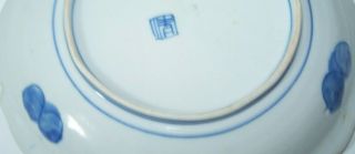 Chinese Blue & White Porcelain Shallow Bowl 19th Century 2