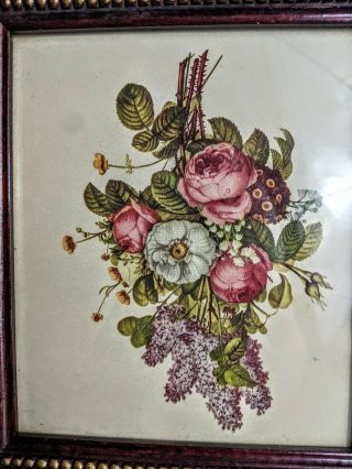 Antique J.  L.  Prevost Botanical Floral Print - 1940 ' s in Turner frame 2